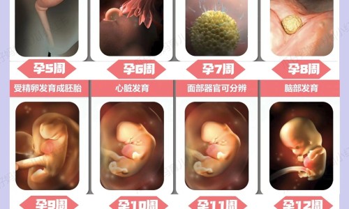 【浙江沁牌门业有限公司】沁牌防盗门怎么样 - 沁牌门 好不好网